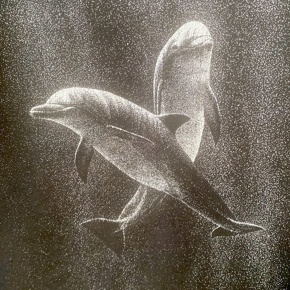 1979 Vintage Greenpeace Dolphin Crewncleck